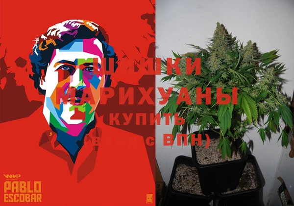 прущие крисы Надым